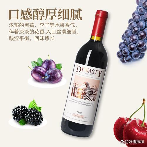 葡萄酒什么牌子的档次好又实惠？精选推荐优质佳酿让生活更精彩